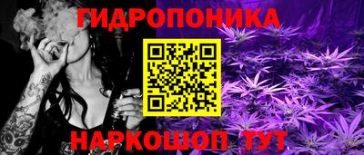 спиды Обь