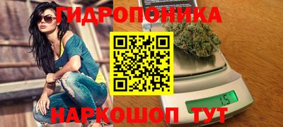 спиды Обь