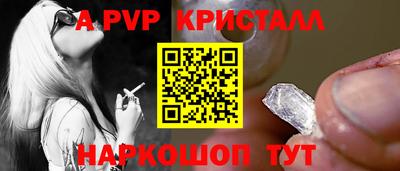 спиды Обь