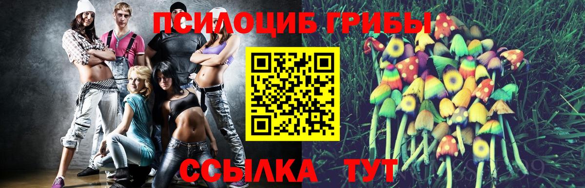 Сердобск  Галлюциногенные грибы мухоморы  Вход с VPN 